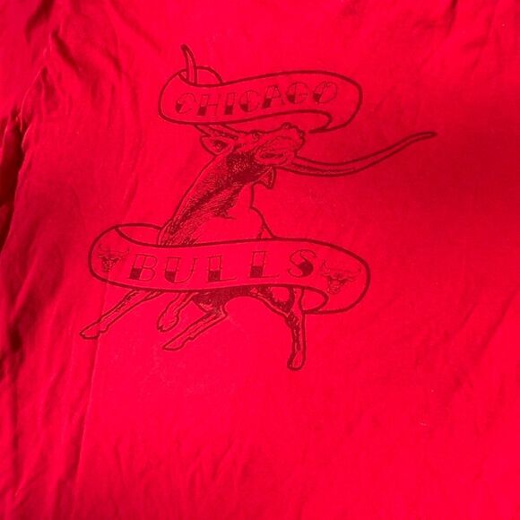 NBA Other - Chicago Bulls Bull T shirt